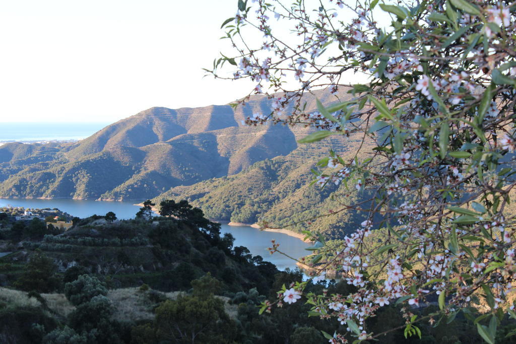 Hotel Rural Jarales